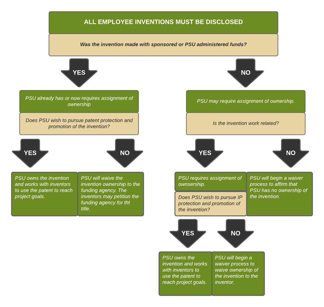 Intellectual Property Guidelines Flow Chart